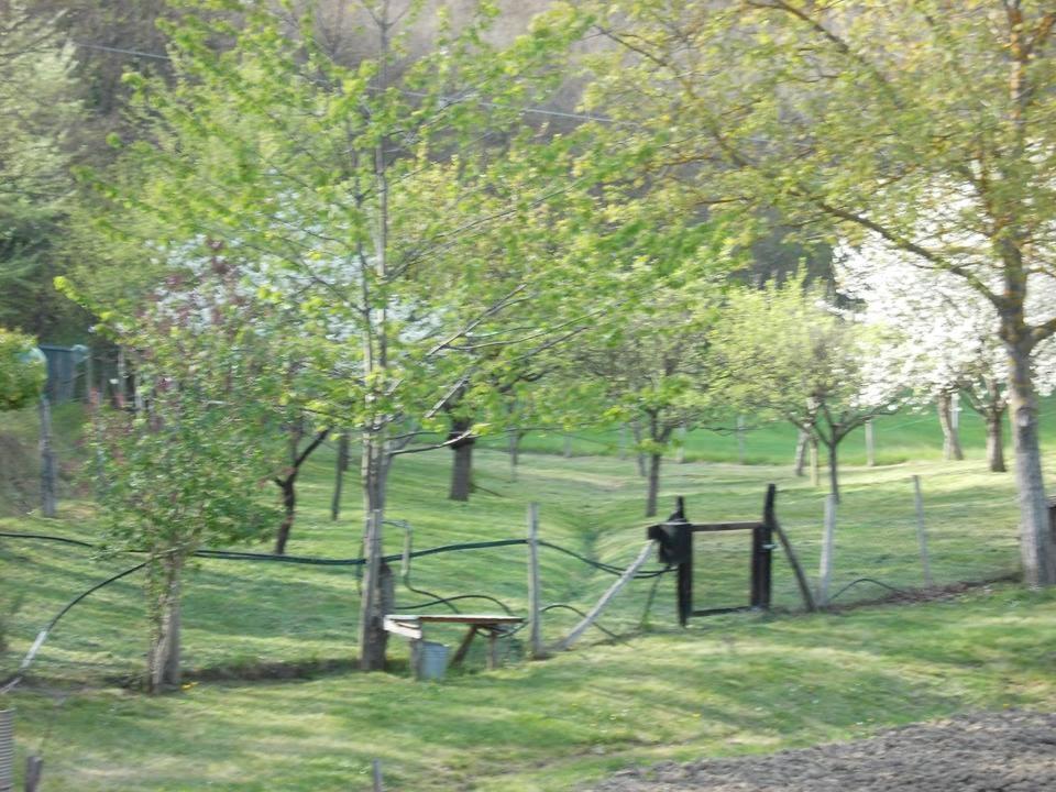 Casa Molinari Villa San Martino  Luaran gambar